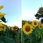 C'era Volta Ripatransone