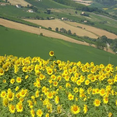 Alloggio per agriturismo C'era Volta Ripatransone