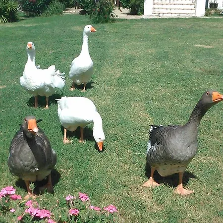 Alloggio per agriturismo C'era Volta