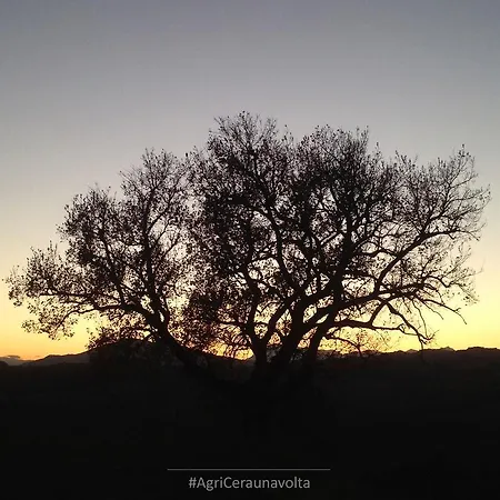 C'era Volta * Ripatransone