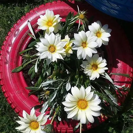 Lantgård C'era Volta *