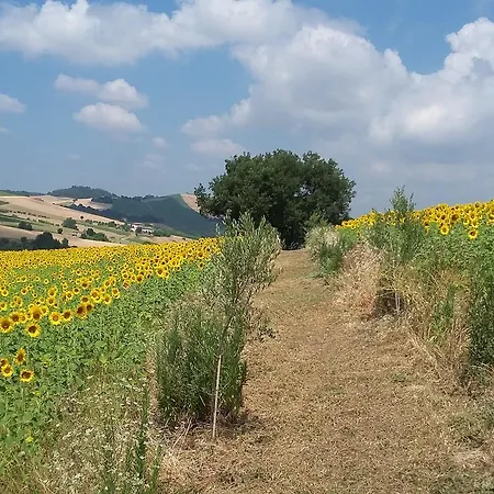 Alojamento de Turismo Rural C'era Volta Ripatransone