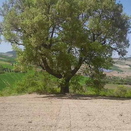 Alloggio per agriturismo C'era Volta