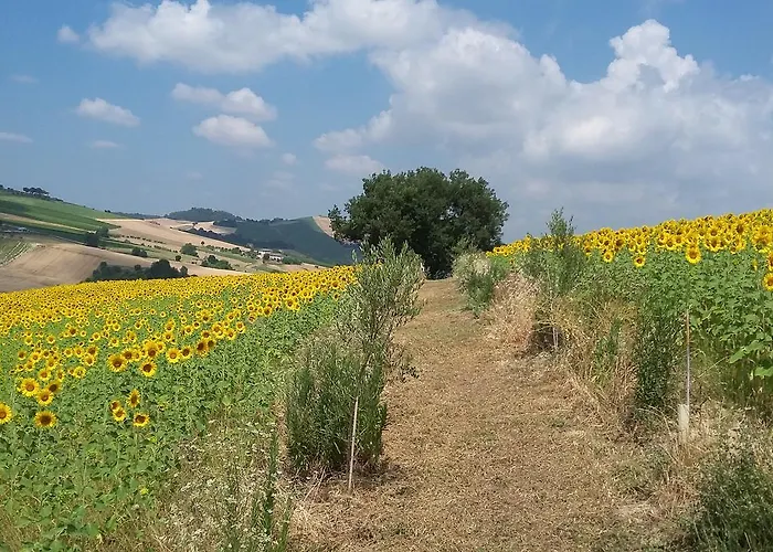 Alloggio per agriturismo C'era Volta Ripatransone